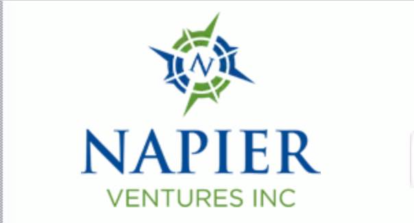 Napier Ventures INC logo